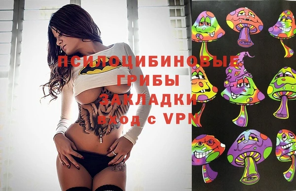 твердый Магас
